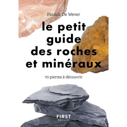 Le petit guide des roches et minéraux - Patrick de Wever