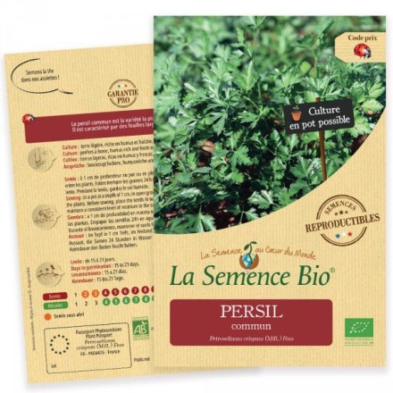 Graines Persil commun BIO - La Semence Bio
