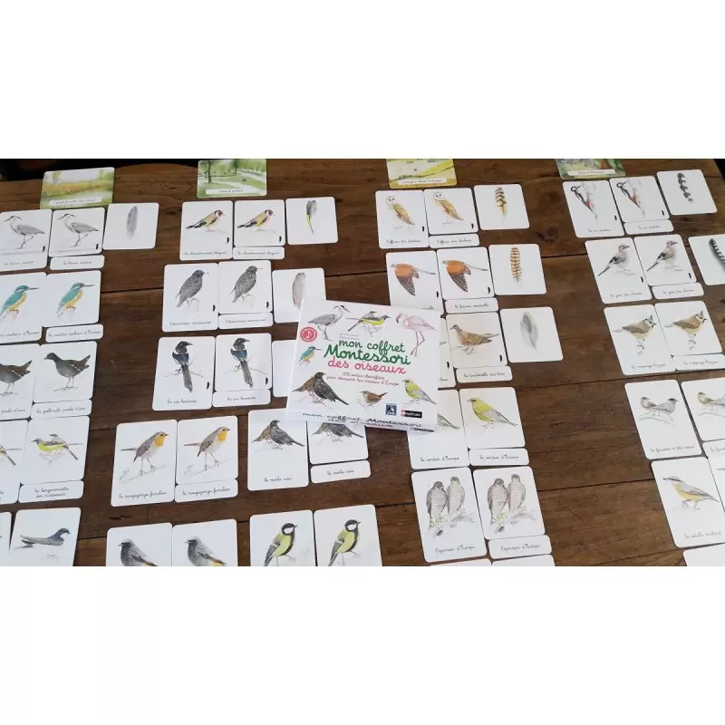 Mon coffret Montessori des oiseaux - Nathan