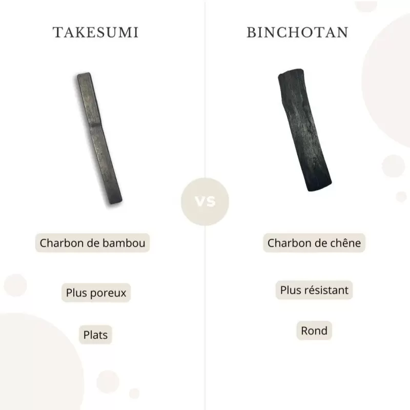 Filtre à eau en charbon BIO Binchotan - Takesumi