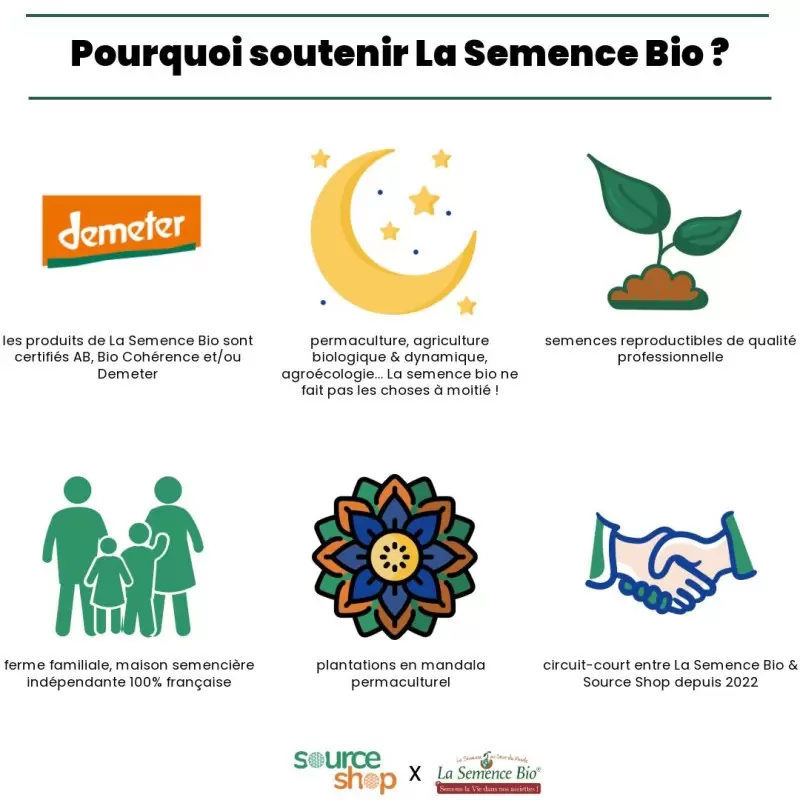 Graines Ciboule de Chine BIO - La Semence Bio