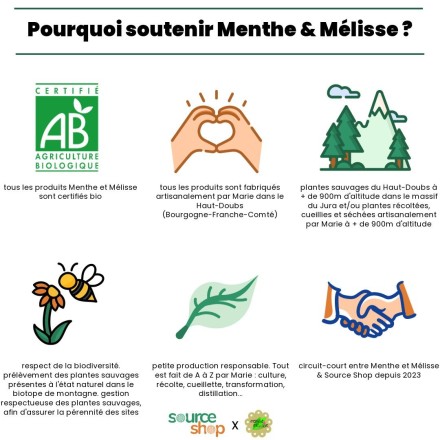 Circuit-court Menthe & Mélisse x Source Shop