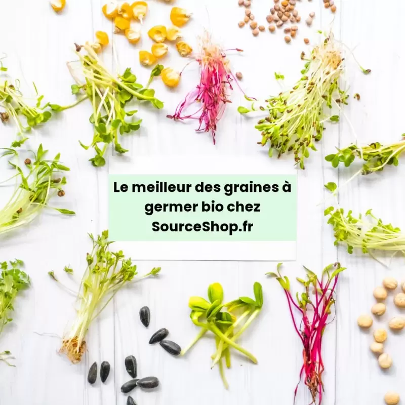 Graines à germer Blé BIO - 200g