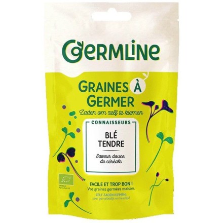 Graines à germer Blé BIO - 200g