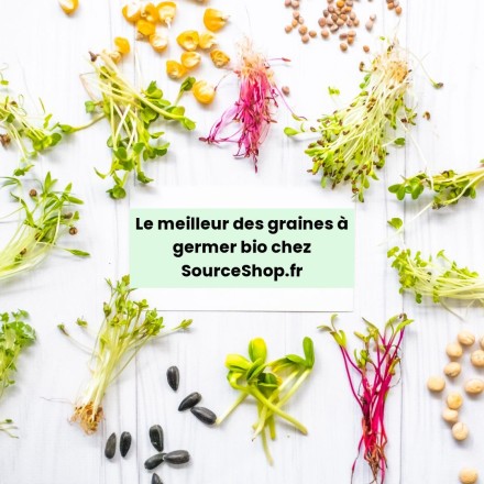 Graines germées bio Source Shop