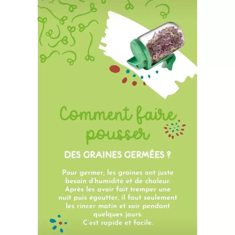 Graines à germer Blé BIO - 200g