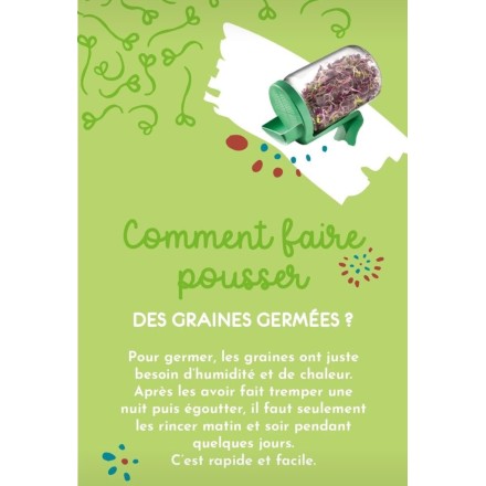 Comment faire pousser des graines germées ?