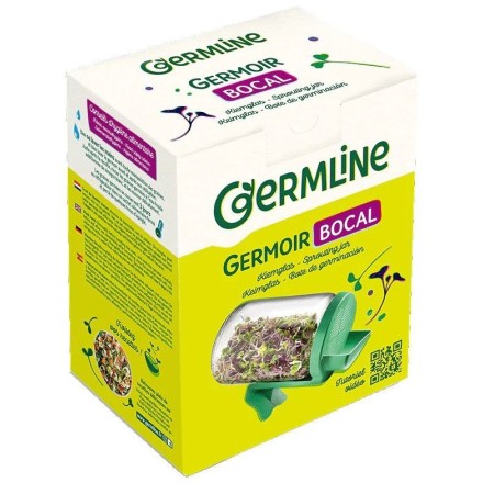 Germoir bocal en verre - Germline
