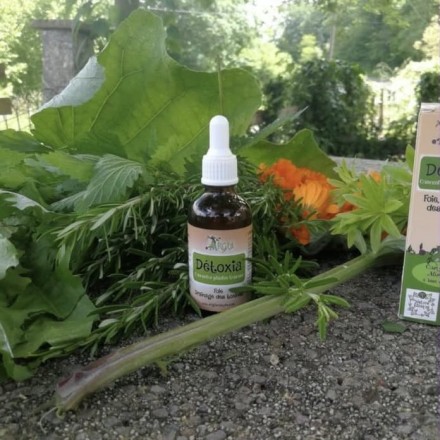 Concentré de plantes BIO - foie & drainage toxines - Détoxia - Argia