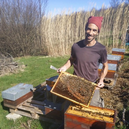 Nicolas de la Ferme de Charmagat récoltant le miel dans ses ruches bio