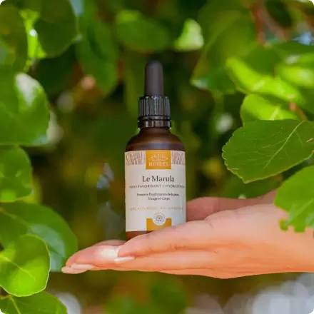 Huile de marula bio hydratante | Comptoir des Huiles