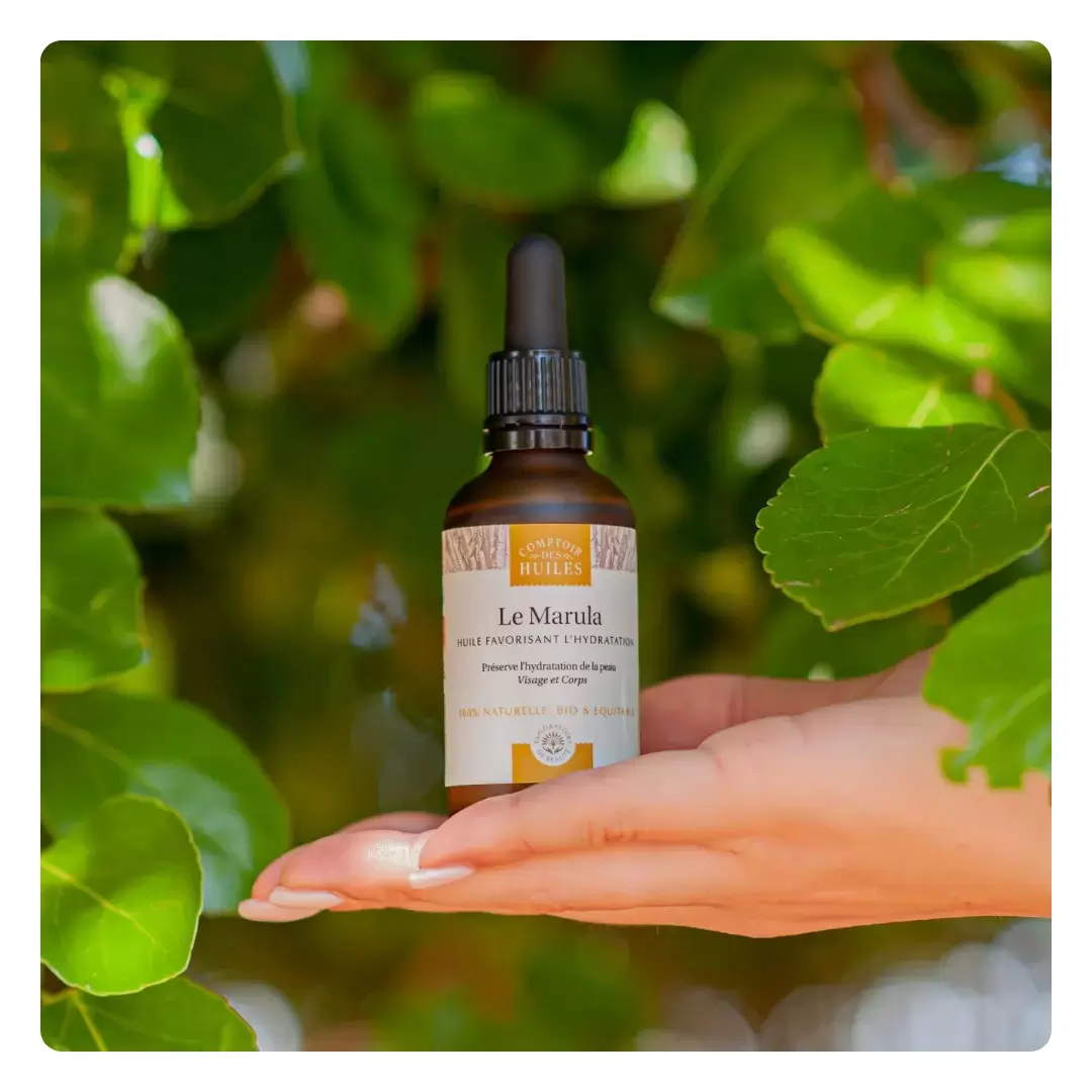 Huile de marula bio hydratante | Comptoir des Huiles