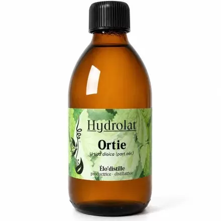 Hydrolat d'Ortie Bio - Qualité alimentaire - 250ml - Élo'Distille