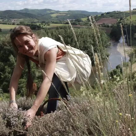 Récolte de plantes sauvages par Élodie - Élo'Distille