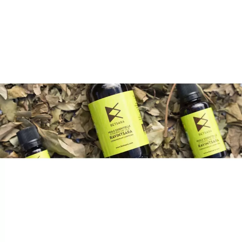 Huile essentielle de Ravintsara BIO - 10ml ou 30ml - BeTsara