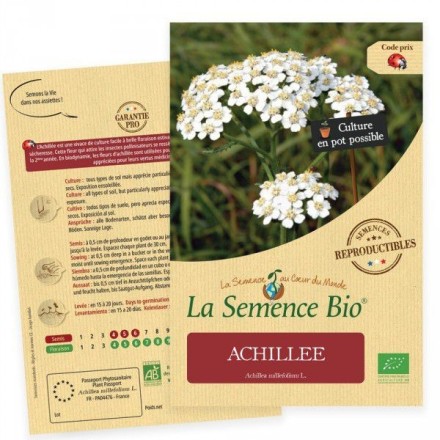 Achillée Millefeuille BIO