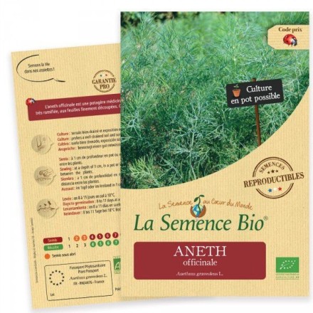Graines Aneth Officinale BIO - La Semence Bio