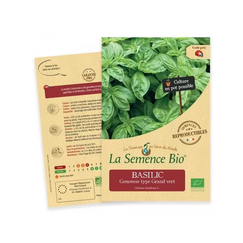 Graines Basilic Genovese BIO - La Semence Bio