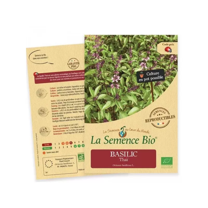 Graines Basilic Thaï BIO - La Semence Bio