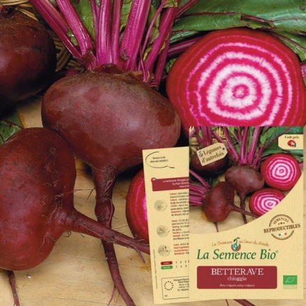 Graines Betterave Chioggia BIO - La Semence Bio