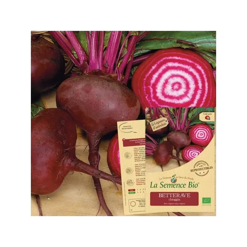 Graines Betterave Chioggia BIO - La Semence Bio