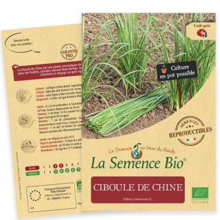 Graines Ciboule de Chine BIO - La Semence Bio