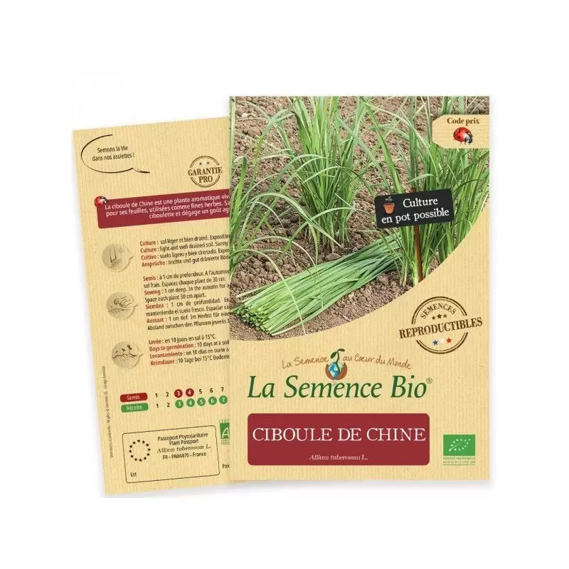 Graines Ciboule de Chine BIO - La Semence Bio