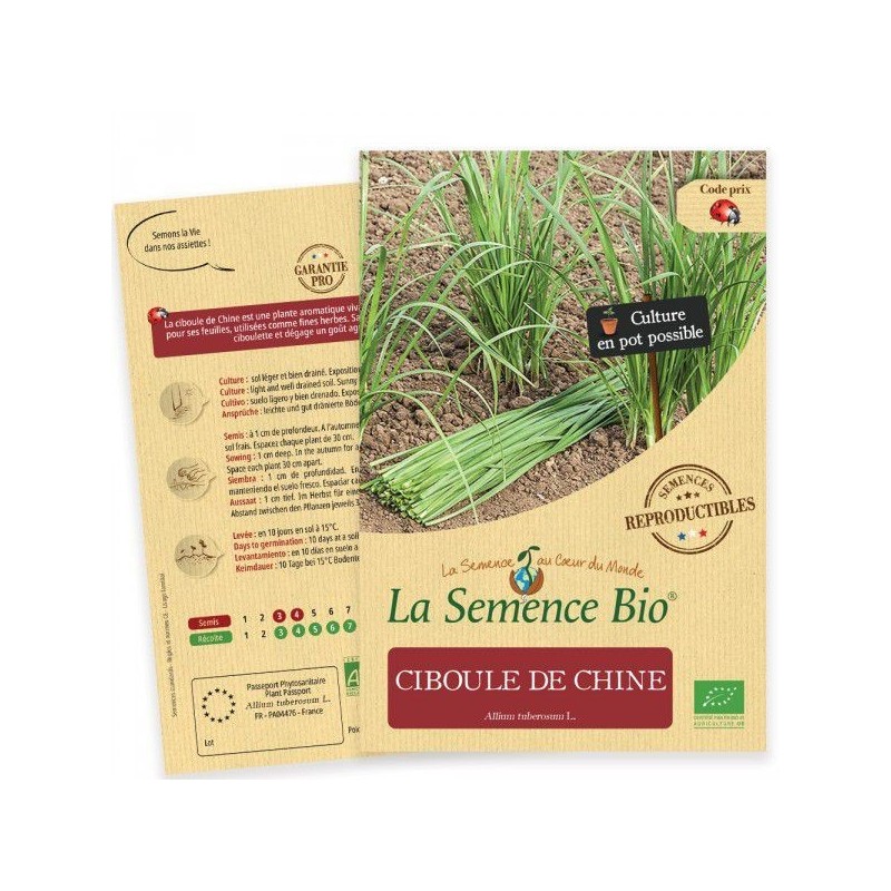 Graines Ciboule de Chine BIO - La Semence Bio
