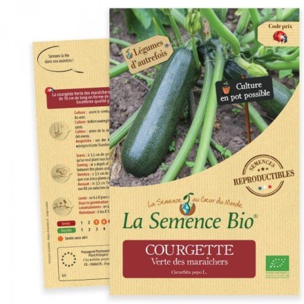 Graines Courgette verte des maraîchers BIO - La Semence Bio
