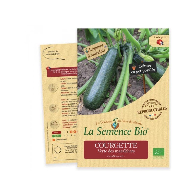 Graines Courgette verte des maraîchers BIO - La Semence Bio