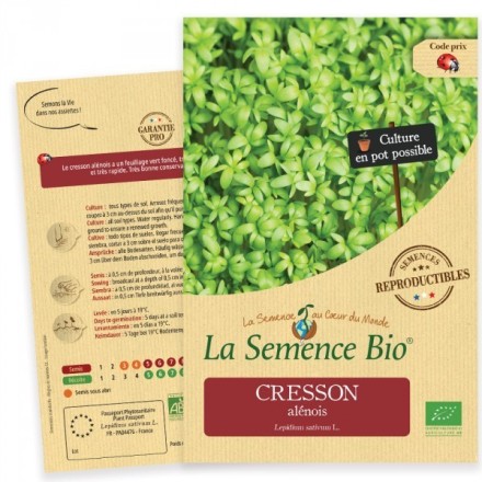 Graines Cresson Alénois BIO - La Semence Bio