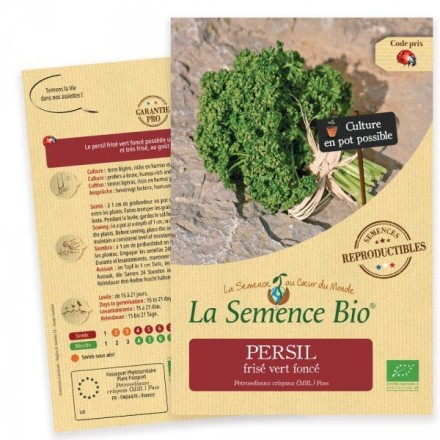 Graines Persil frisé vert foncé BIO - La Semence Bio