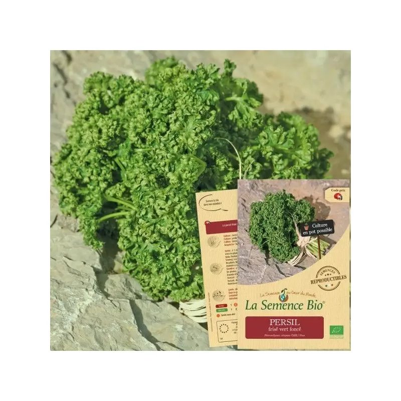 Graines Persil frisé vert foncé BIO - La Semence Bio