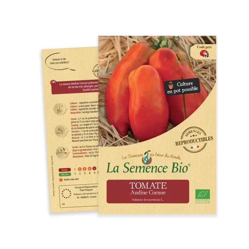 Graines Tomate Andine Cornue BIO - La Semence Bio