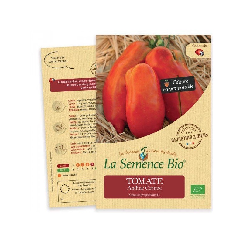 Graines Tomate Andine Cornue BIO - La Semence Bio