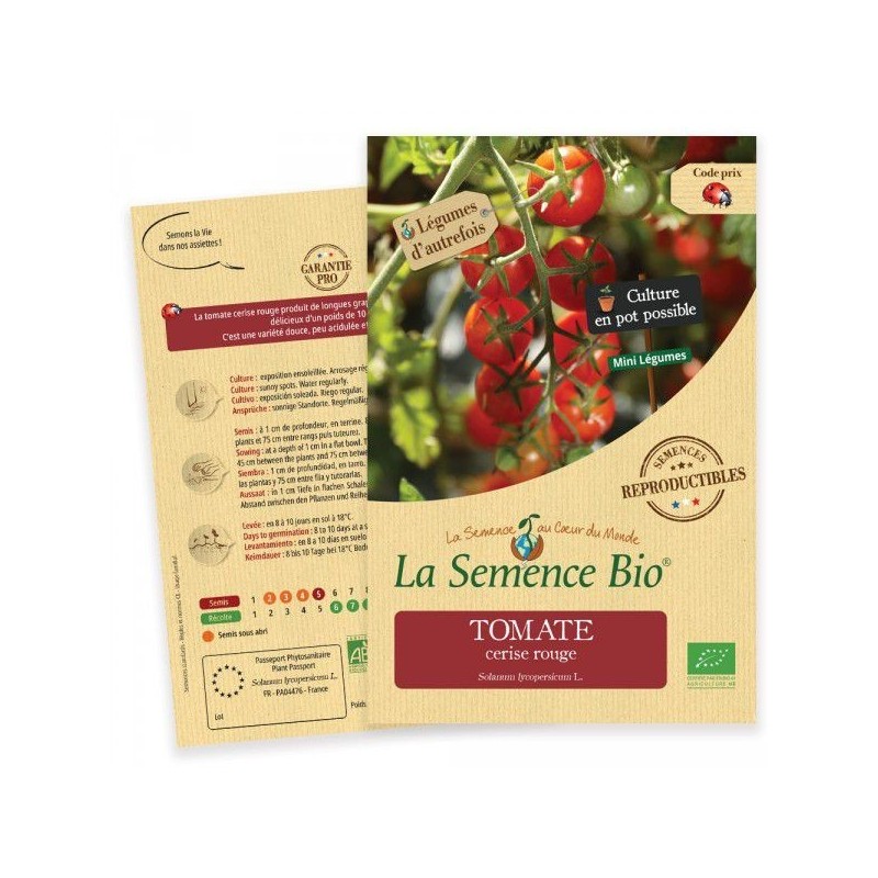 Graines Tomate Cerise BIO - La Semence Bio