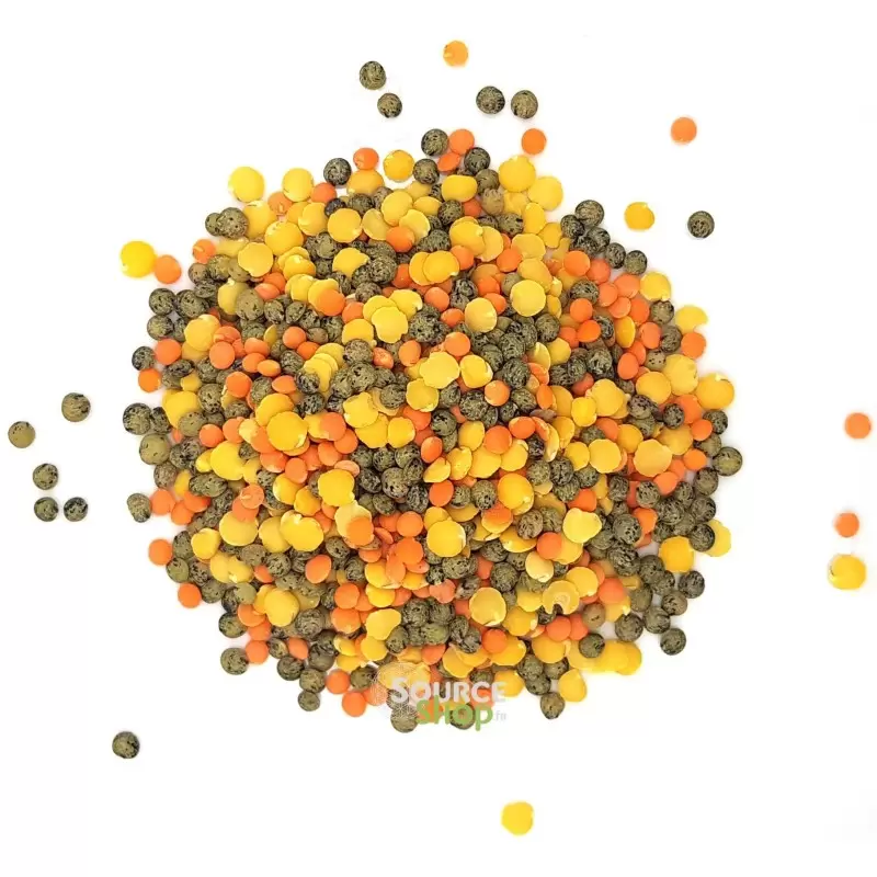 Trio de lentilles BIO en vrac