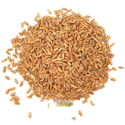Epeautre complet BIO en vrac