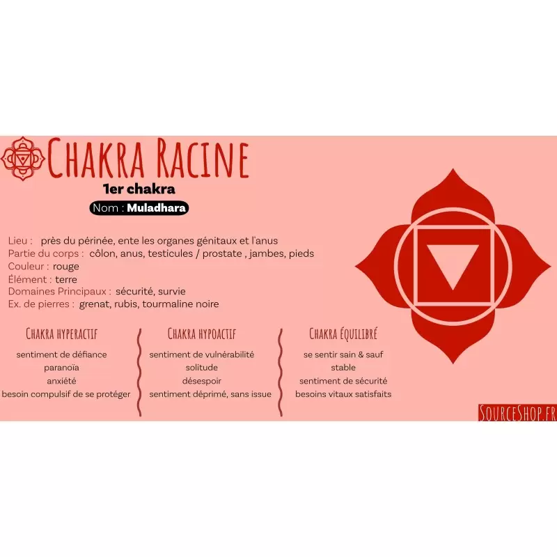 Spray d'ambiance Enracinement - Chakra Racine - Muladhara - Aromafume