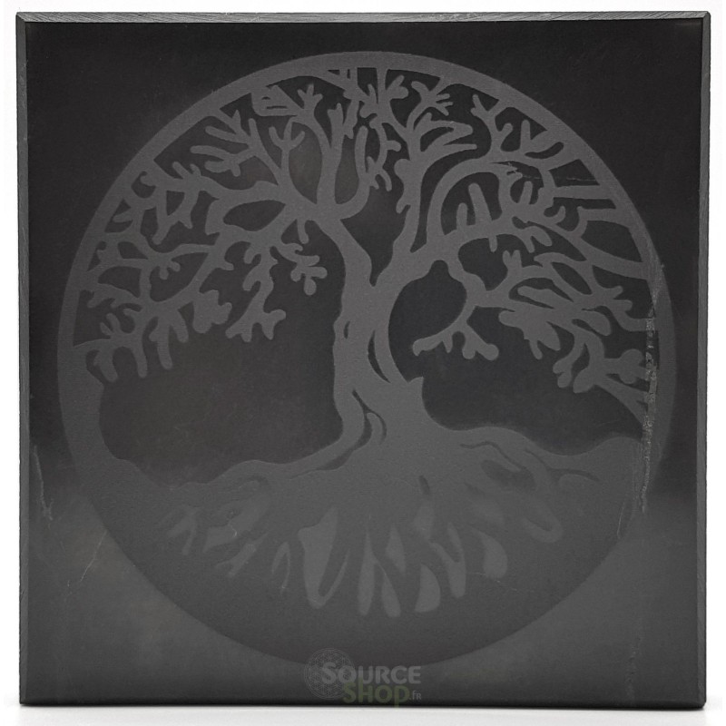 Plaque énergisante en shungite Arbre de Vie