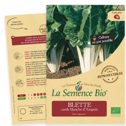 Graines Blette carde blanche BIO - La Semence Bio