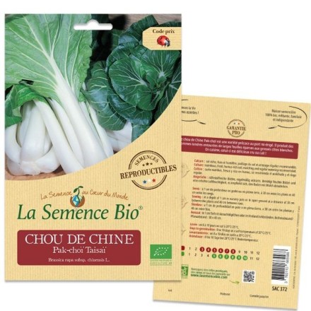 Graines Chou de Chine Pak-choï BIO - La Semence Bio