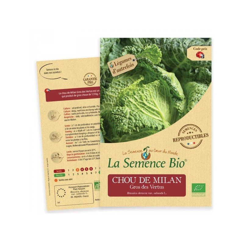 Graines Chou de Milan Gros des Vertus BIO - La Semence Bio