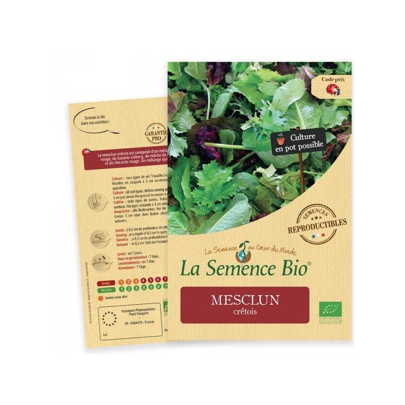 Graines Mesclun crétois BIO - La Semence Bio