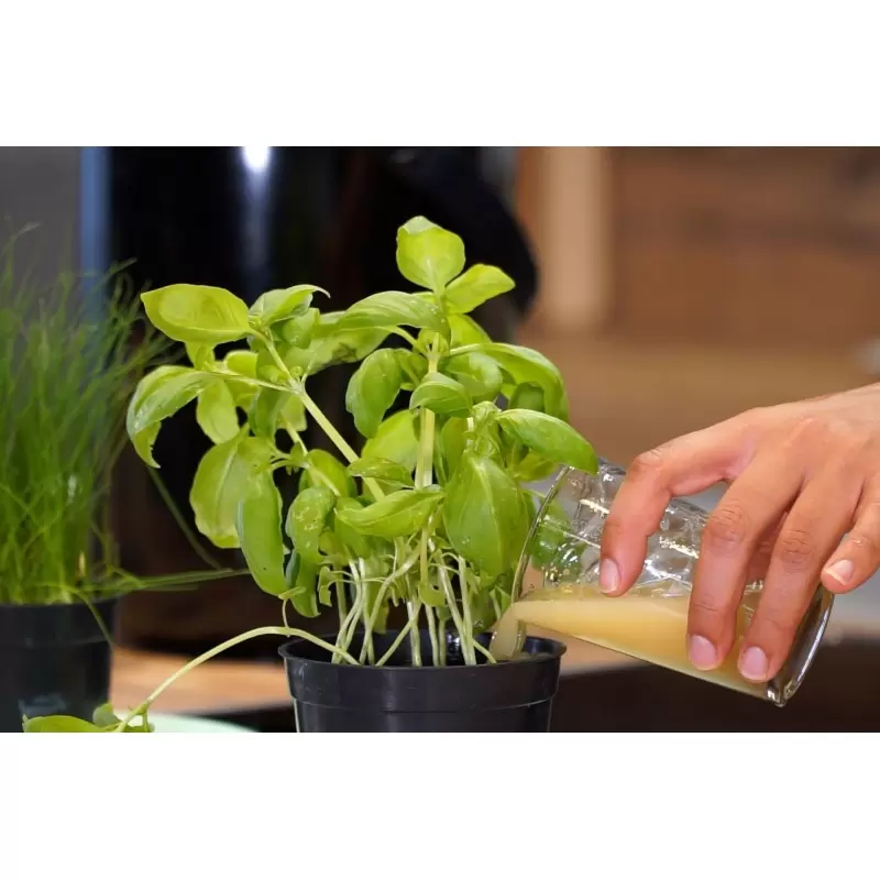 Composteur de cuisine Bokashi - Organko 2 - 9.6L