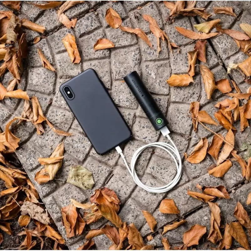 Batterie externe de secours - Powerbank Flex 3 - 3400 mAh