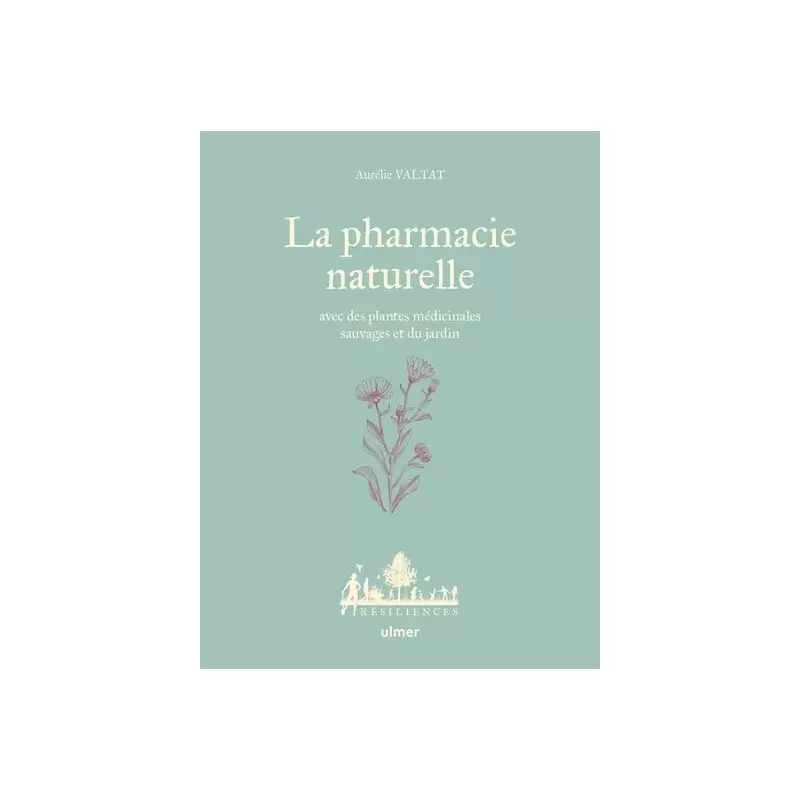 La pharmacie naturelle avec des plantes médicinales sauvages et du jardin