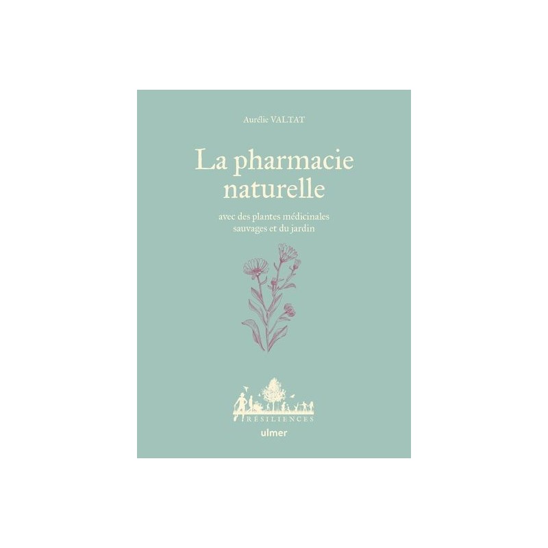 La pharmacie naturelle avec des plantes médicinales sauvages et du jardin