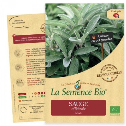 Graines Sauge officinale BIO - La Semence Bio