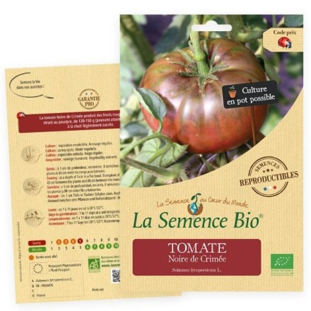 Graines Tomate Noire de Crimé BIO - La Semence Bio